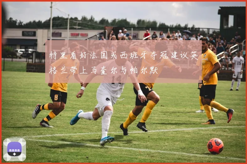 特里看好法国或西班牙夺冠建议英格兰带上马奎尔与帕尔默
